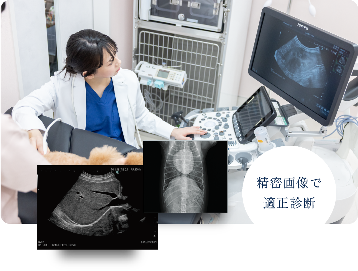 精密画像で適正診断