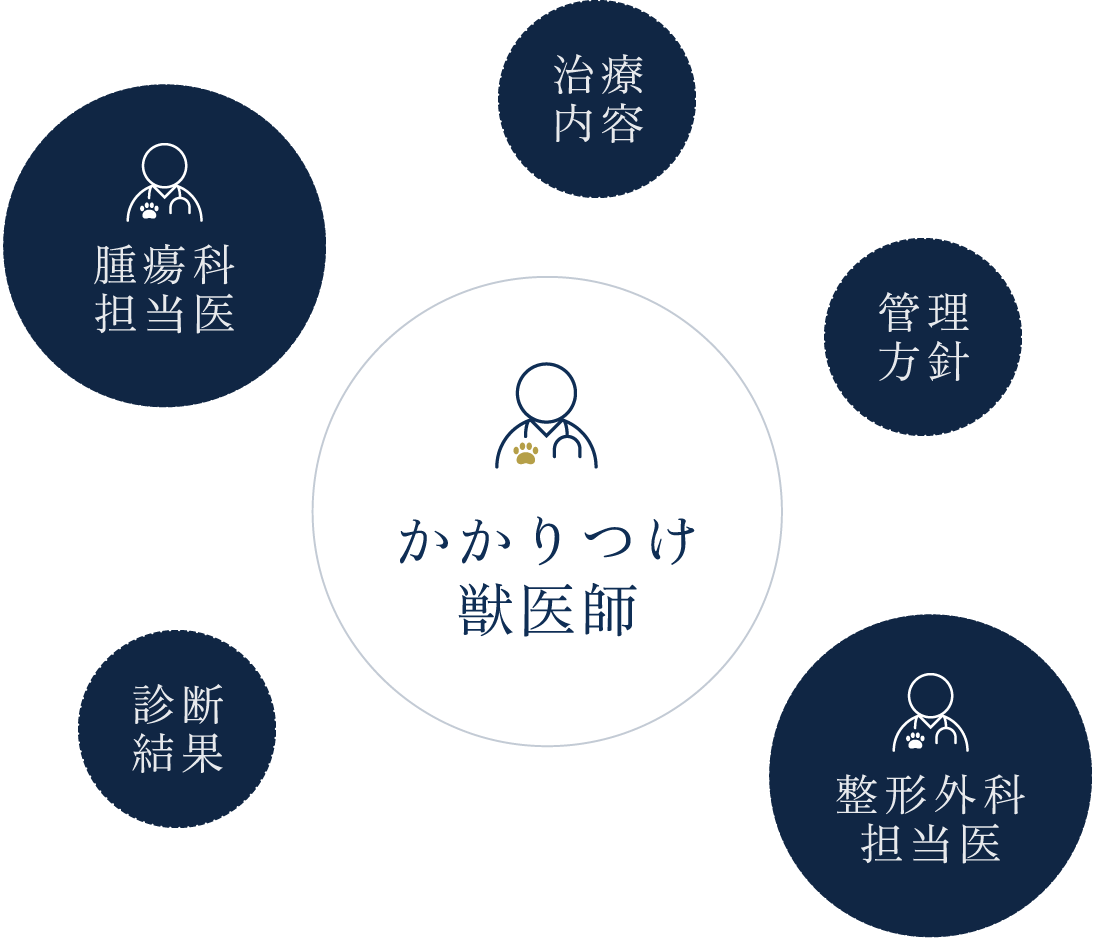 かかりつけ獣医師　主治医を中心に協力・共有　治療内容・診断結果・管理方針　腫瘍科担当医・整形外科担当医