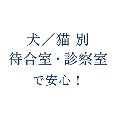 犬/猫 別待合室・診察室で安心!