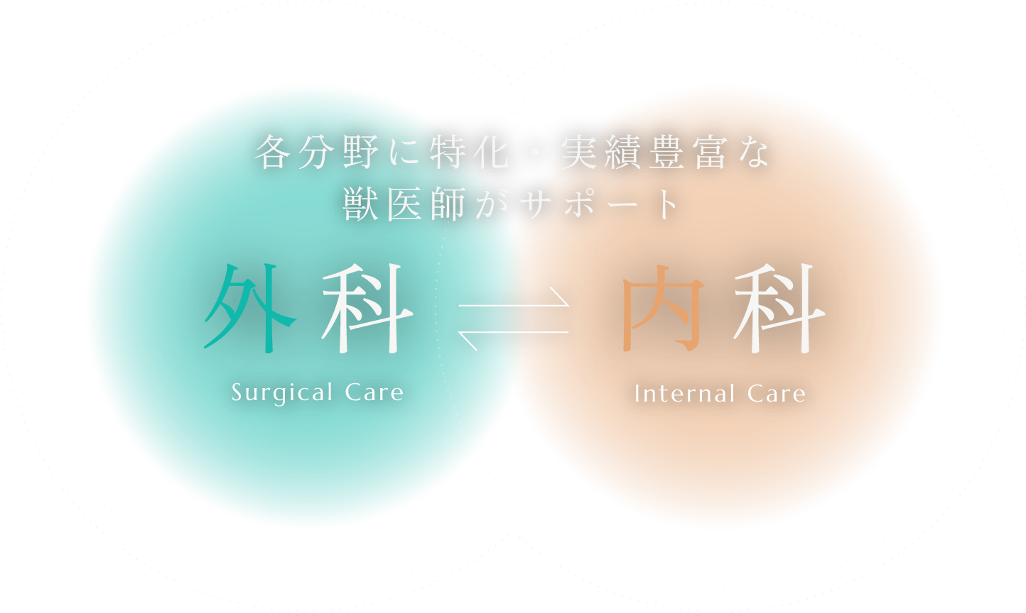 「外科」「内科」各分野に特化・実績豊富な獣医師がサポート